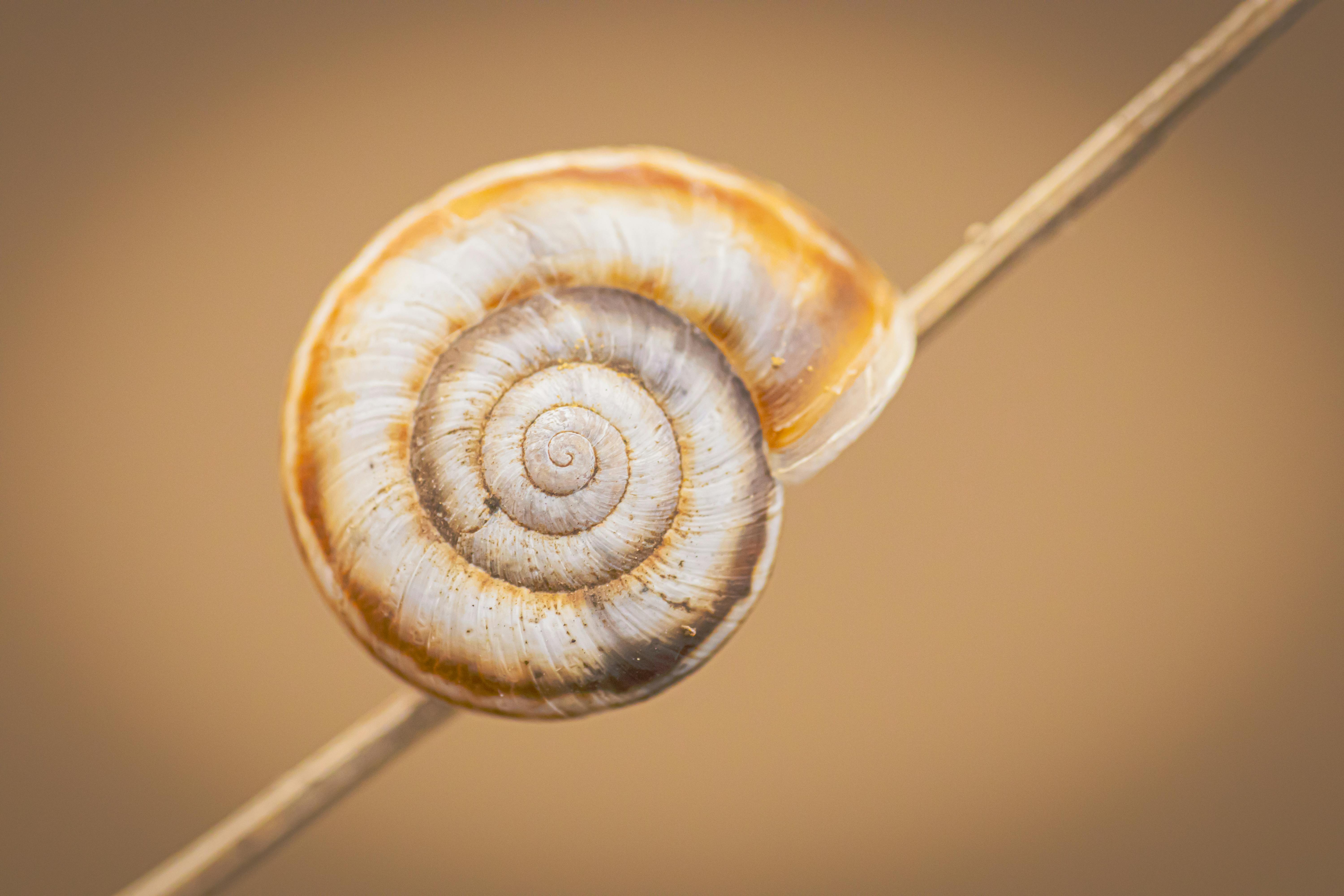 ¿Qué significa vivir según el tiempo natural?